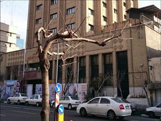 ساخت سردر و ورودی مناسب برای ساختمان ایمیدرو/ نمای بیرونی ساختمان ایمیدرو به نماد معدن تبدیل شود