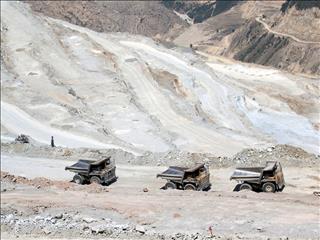 بخشی‌نگری، بزرگترین آسیب فعالیت‌های اقتصادی است