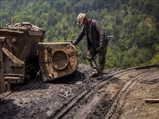 واگذاری معادن زغال سنگ کرمان منتفی شد