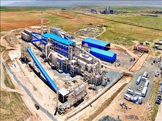 رشد تولید و فروش صبانور