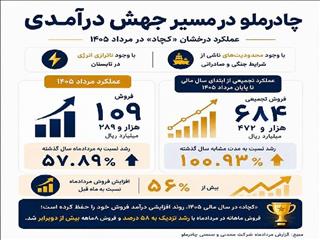 رشد ۵۸ درصدی درآمد در یک ماه/ درخشش «کچاد» زیر فشار محدودیت‌ها و ناترازی انرژی